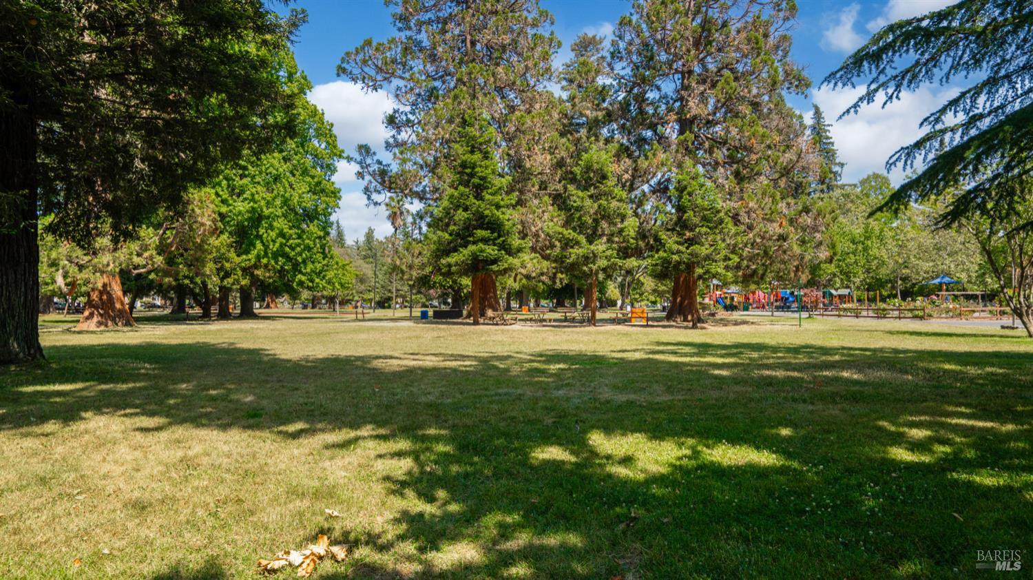 563 Jefferson Street Napa, CA 94559 - Photo 53 of 55 a view of garden