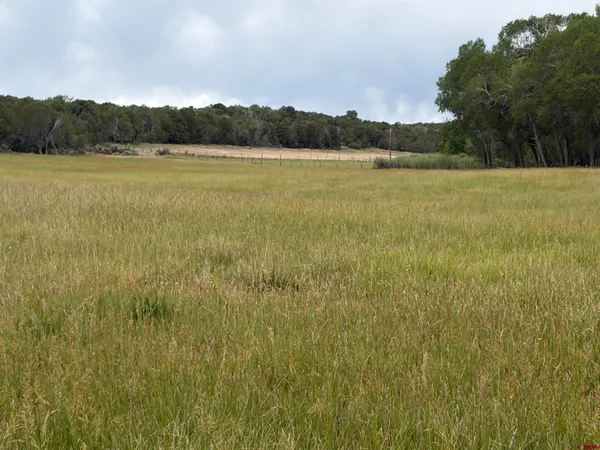 $385,000 | Tbd Cactus Park Road, Cedaredge, CO 81413