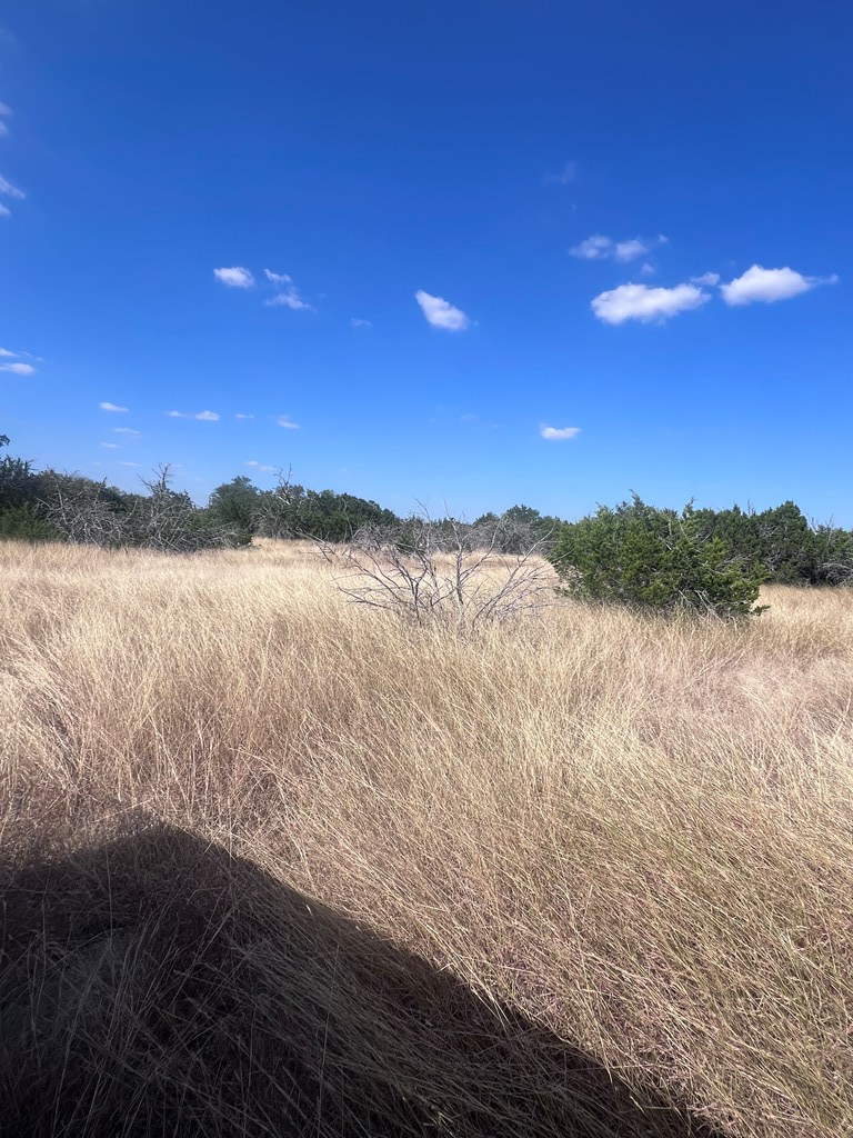 0 Fairview Road Rocksprings, TX 78880 - Photo 12 of 26