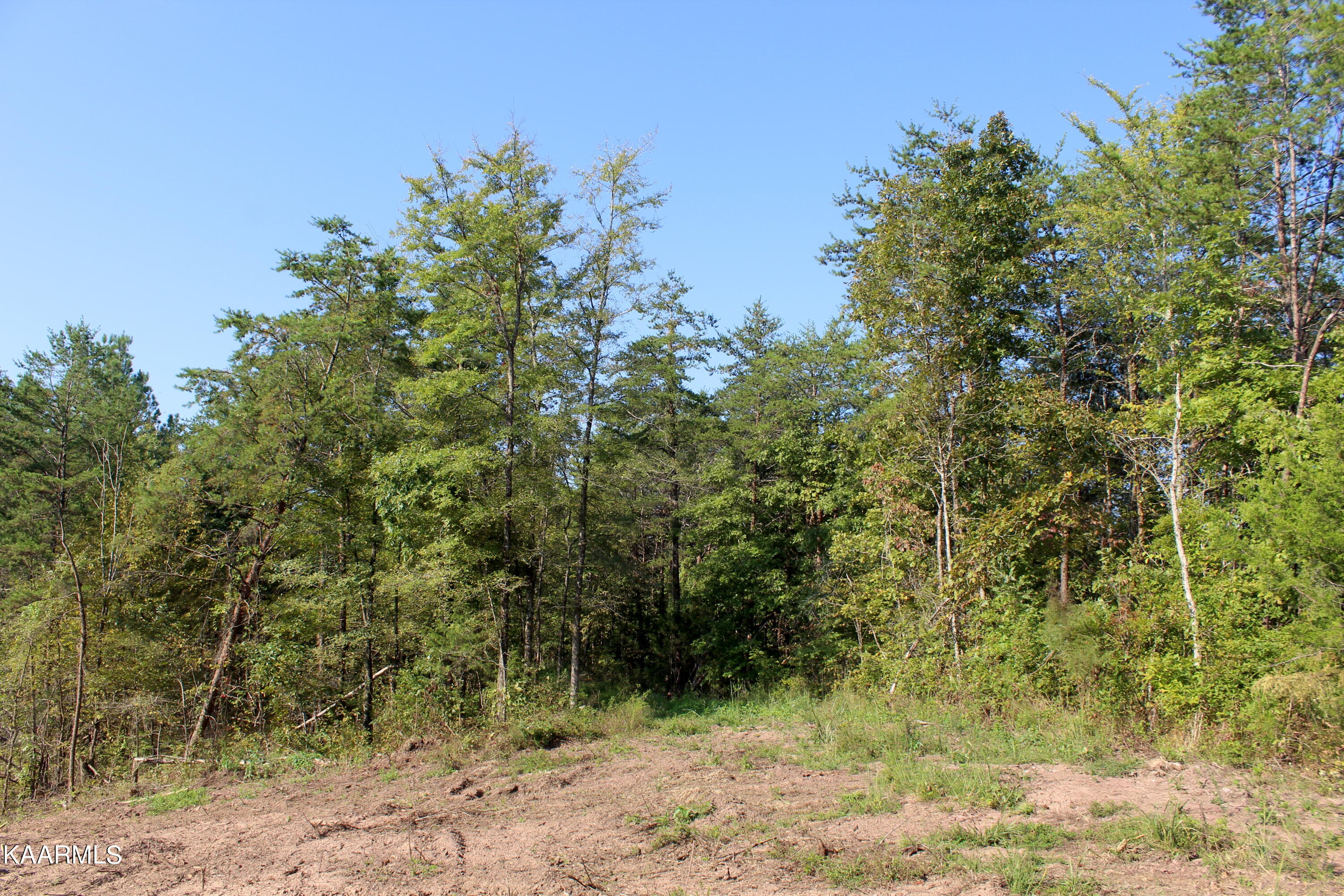2 Bill Moser Road Vonore, TN 37885 - Photo 11 of 32 IMG_2479