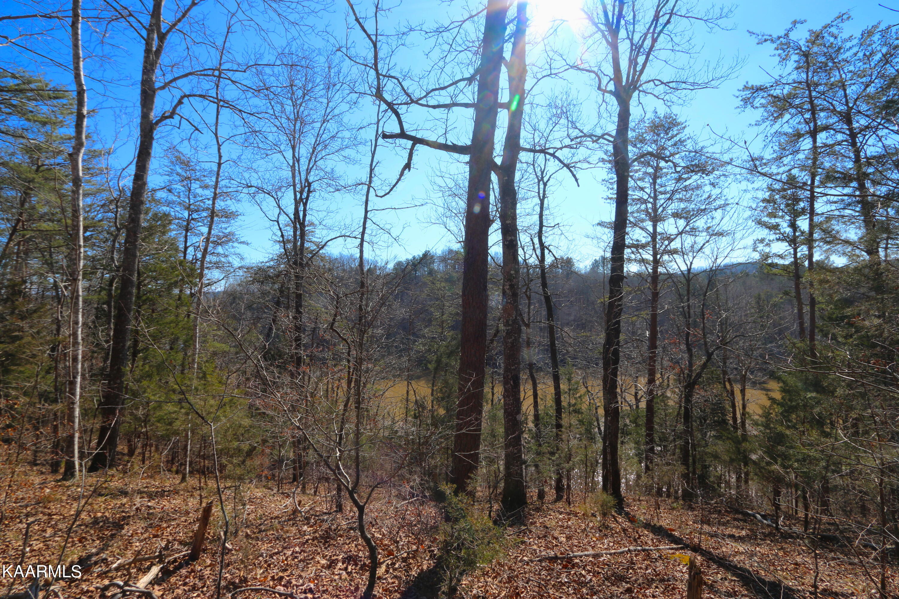 2 Bill Moser Road Vonore, TN 37885 - Photo 12 of 32 IMG_0118
