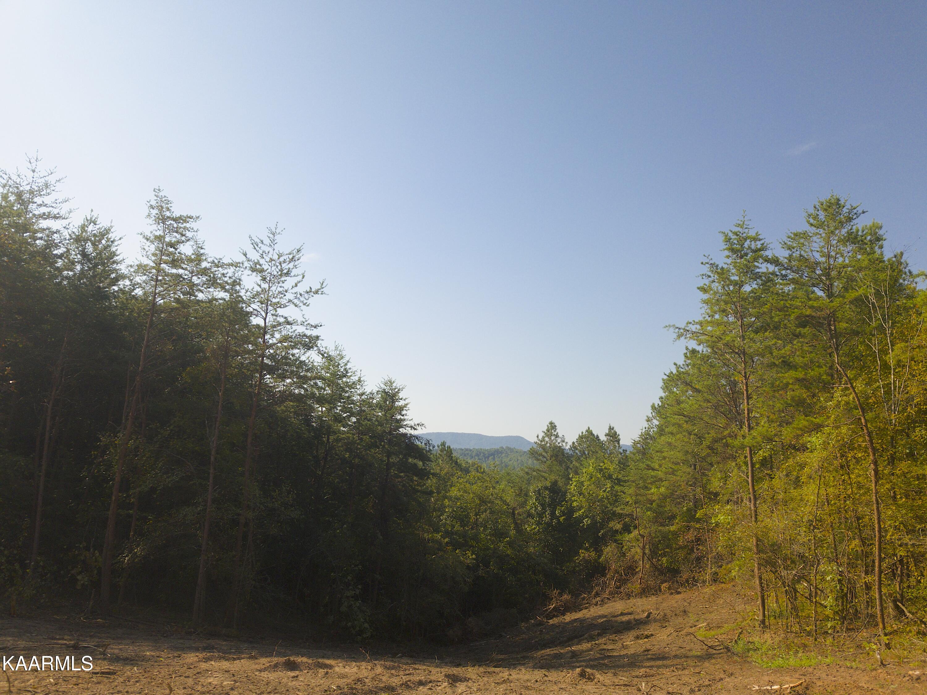 2 Bill Moser Road Vonore, TN 37885 - Photo 3 of 32 DJI_0071 copy