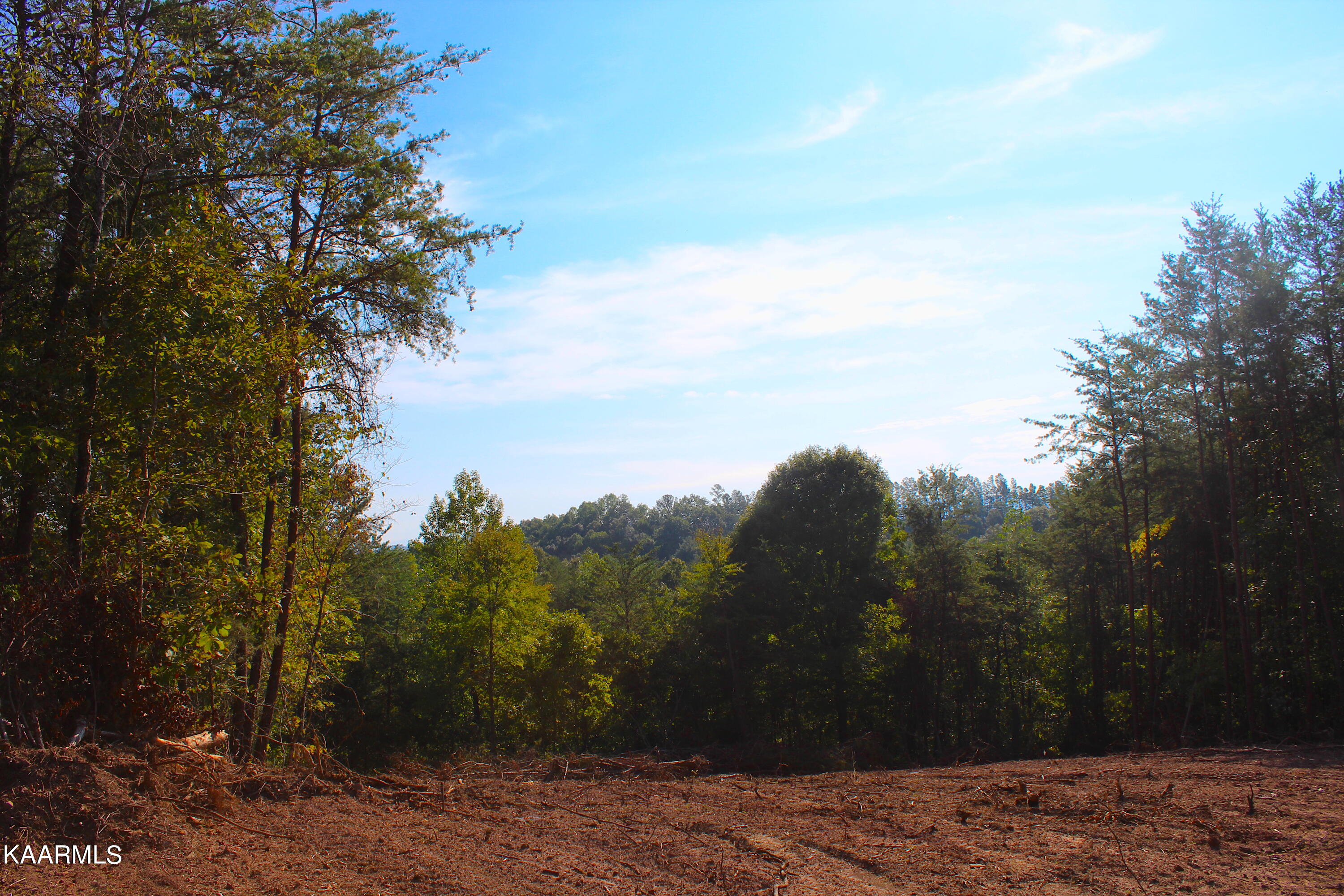 2 Bill Moser Road Vonore, TN 37885 - Photo 5 of 32 IMG_2480