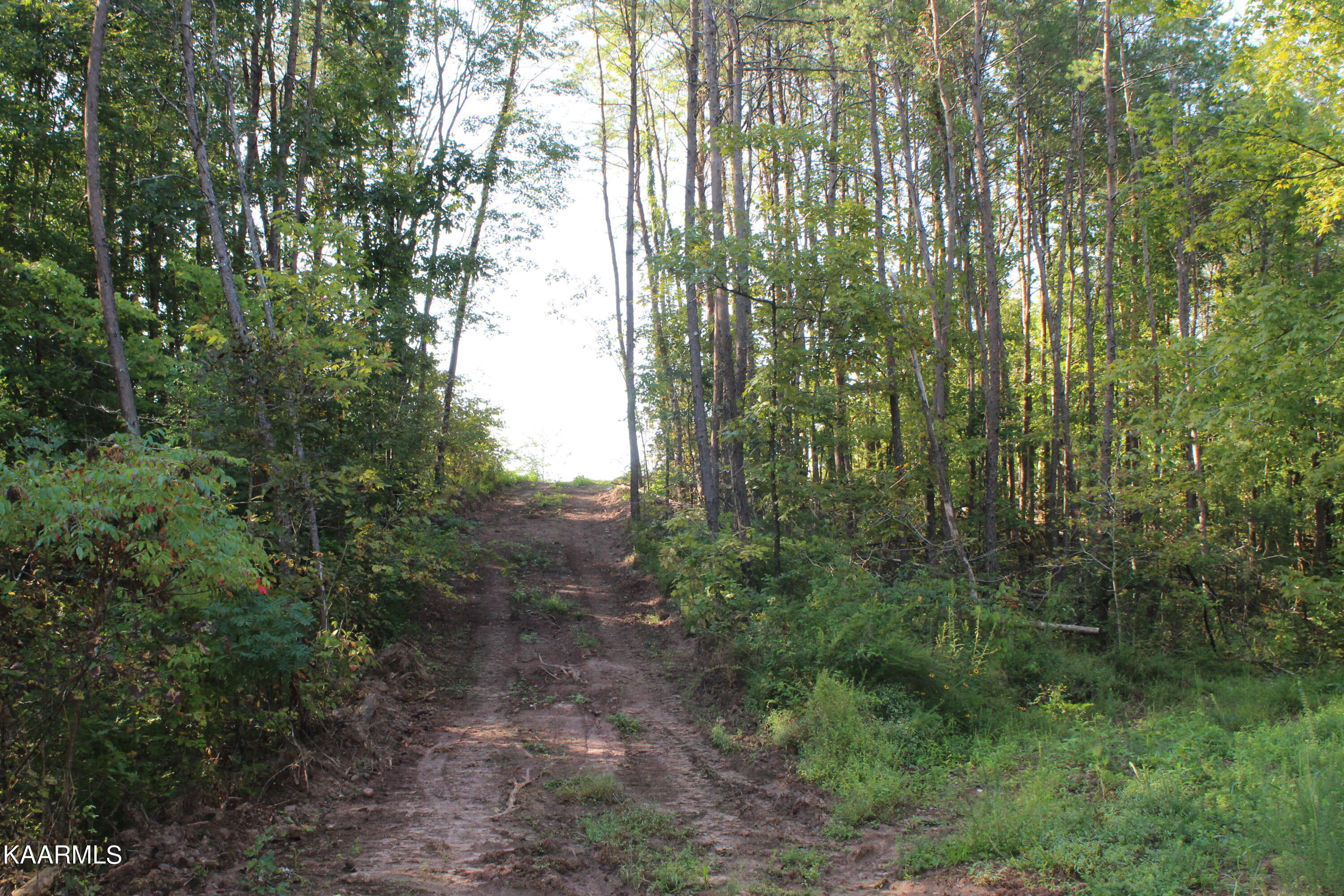 2 Bill Moser Road Vonore, TN 37885 - Photo 10 of 32 IMG_2476