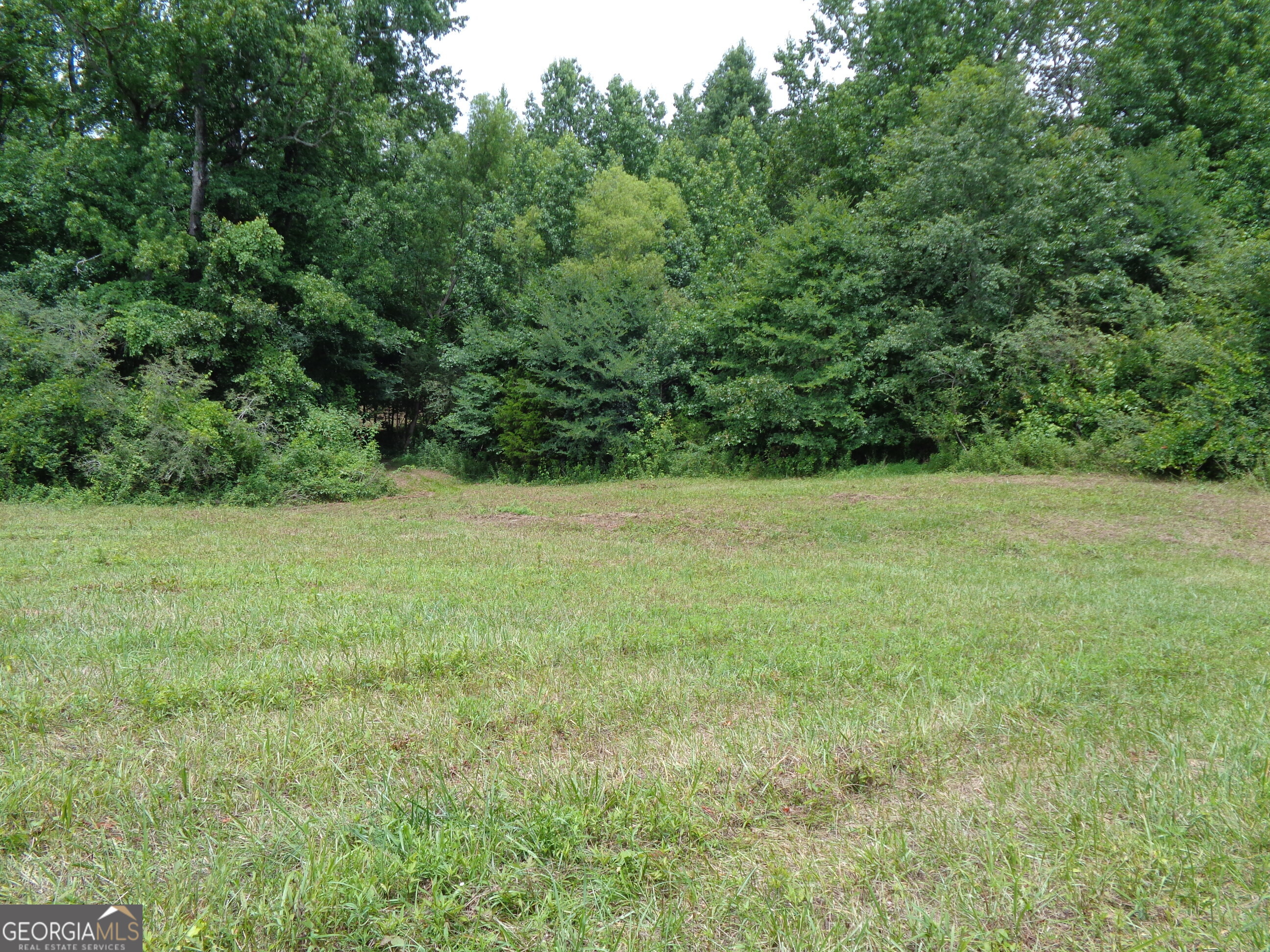 2411 Kesler Road Carnesville, GA 30521 - Photo 17 of 61 a view of an outdoor space with a lake view