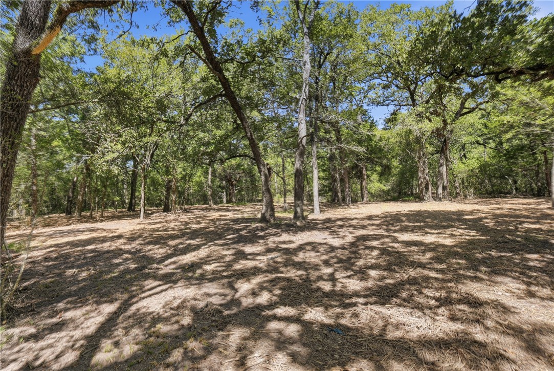 Tbd Grassbur Road Bryan, TX 77808 - Photo 10 of 18