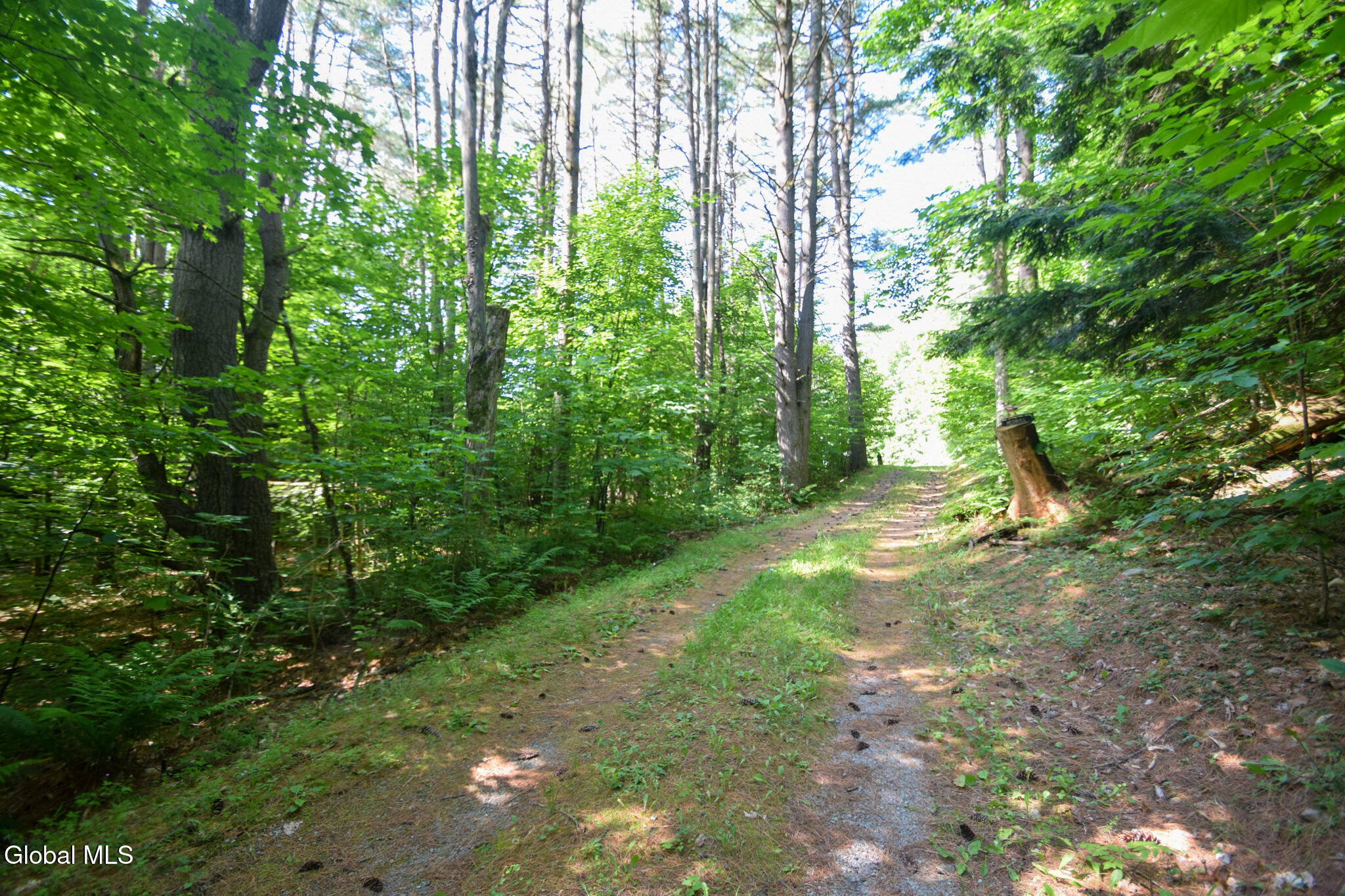 327 Wardsboro Road Hague, NY 12836 - Photo 30 of 34 DSC_0108 (1)
