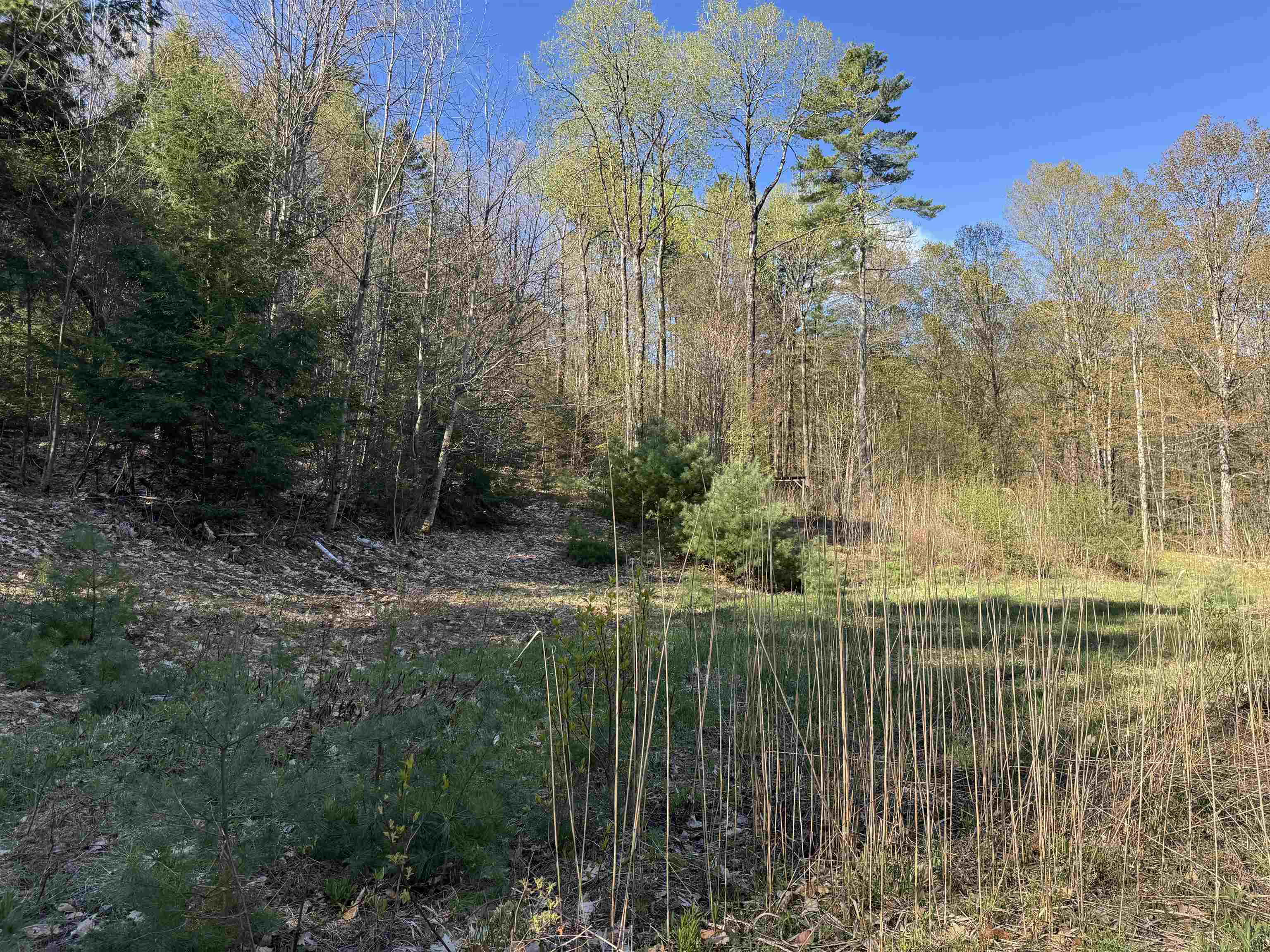 807 Kidder Hood Road Bradford, VT 05033 - Photo 14 of 21