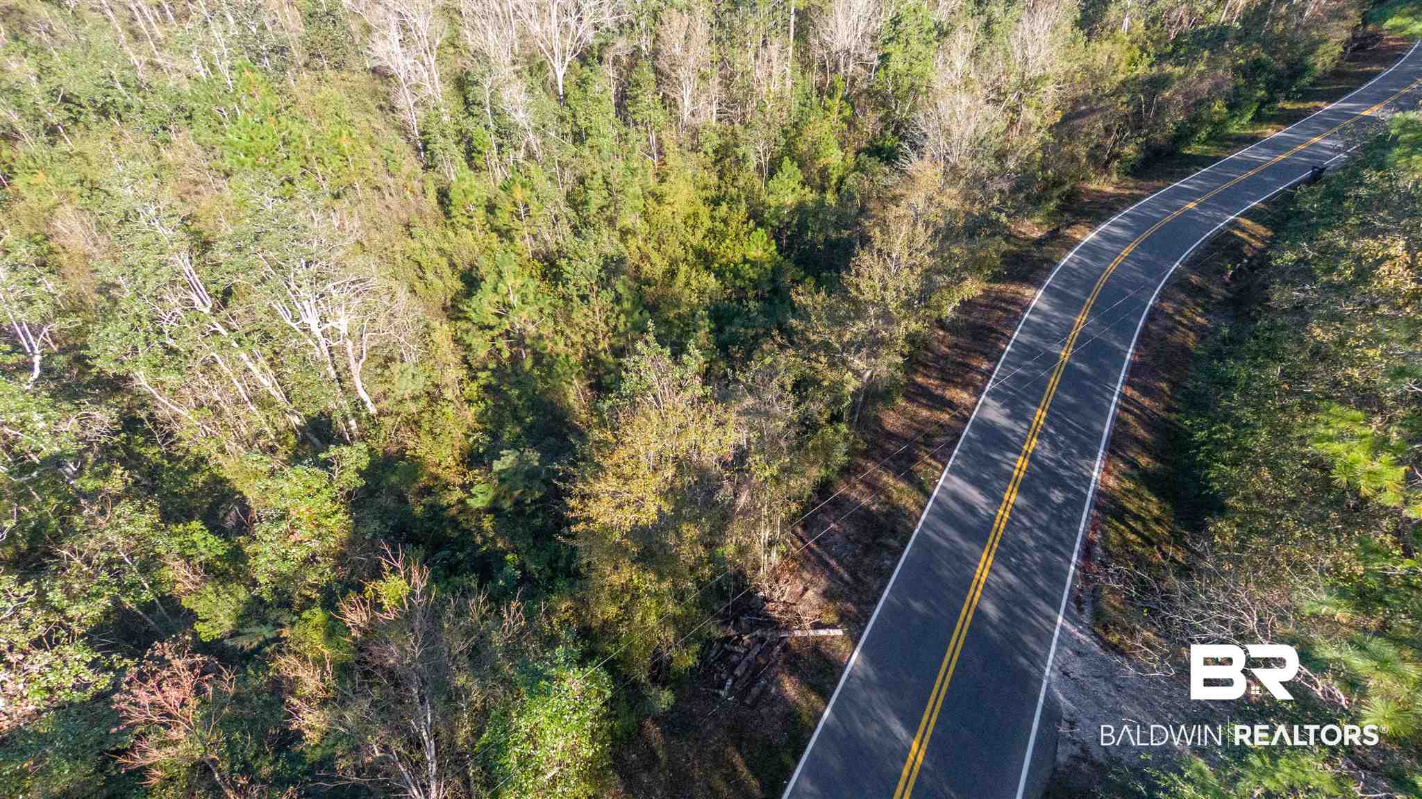 0 McPhillips Road Loxley, AL 36551 - Photo 27 of 27