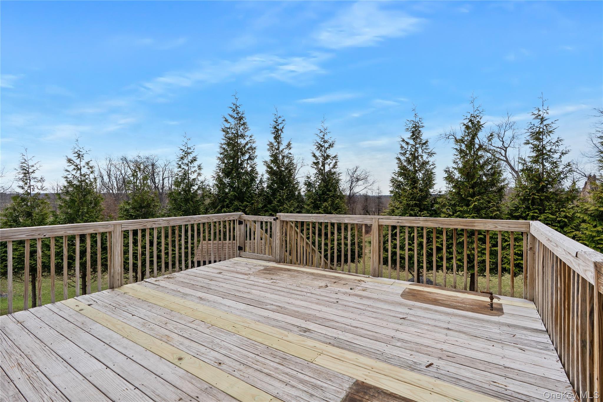 9 Ralph Brach Drive Wallkill, NY 12589 - Photo 34 of 36