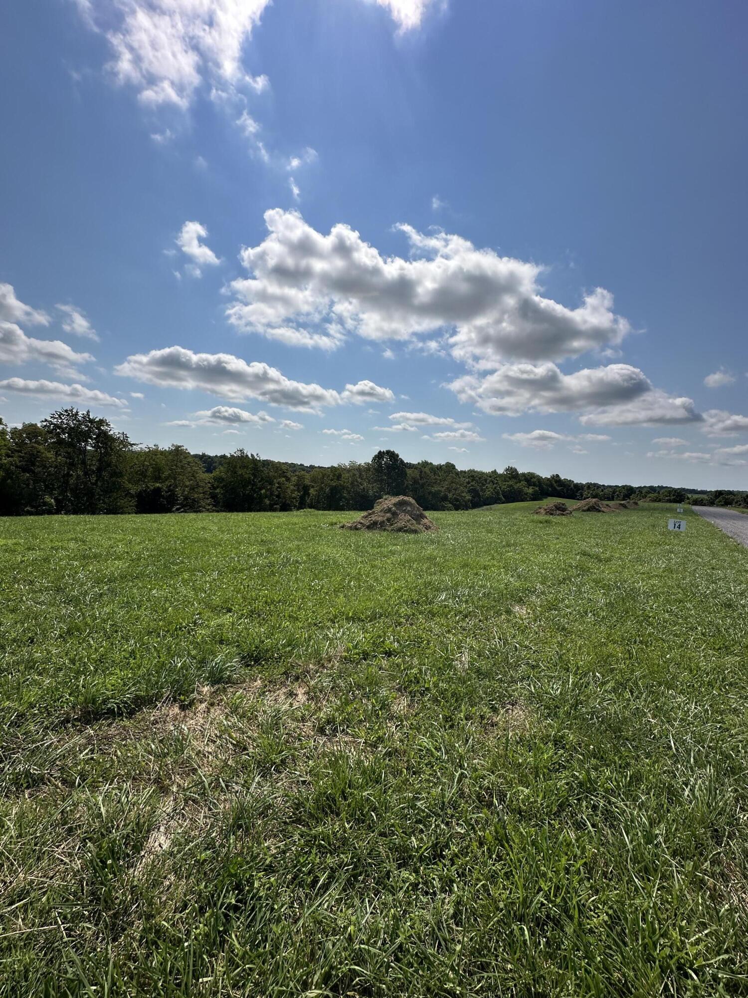 161 Rilda Rdg Road Lancaster, KY 40444 - Photo 5 of 7 14.1