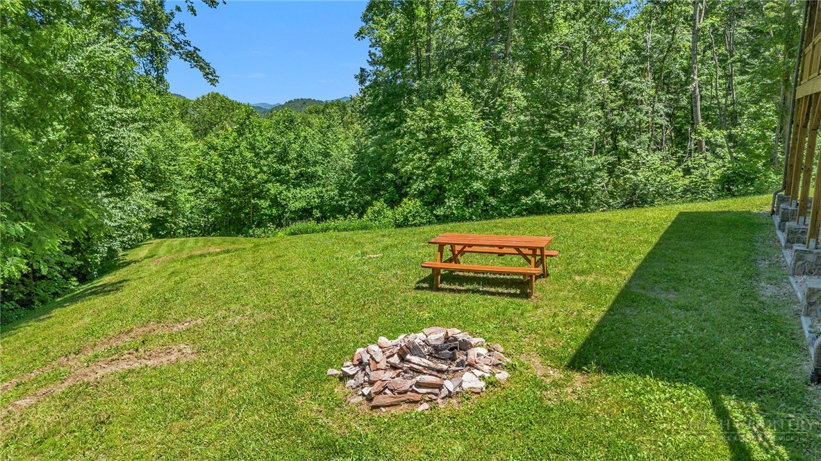 4098 Roundabout Road Creston, NC 28615 - Photo 48 of 50