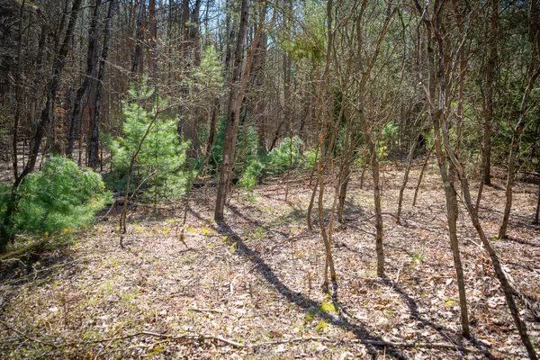 $119,900 | V/l East Baseline Road, Shelby, MI 49455
