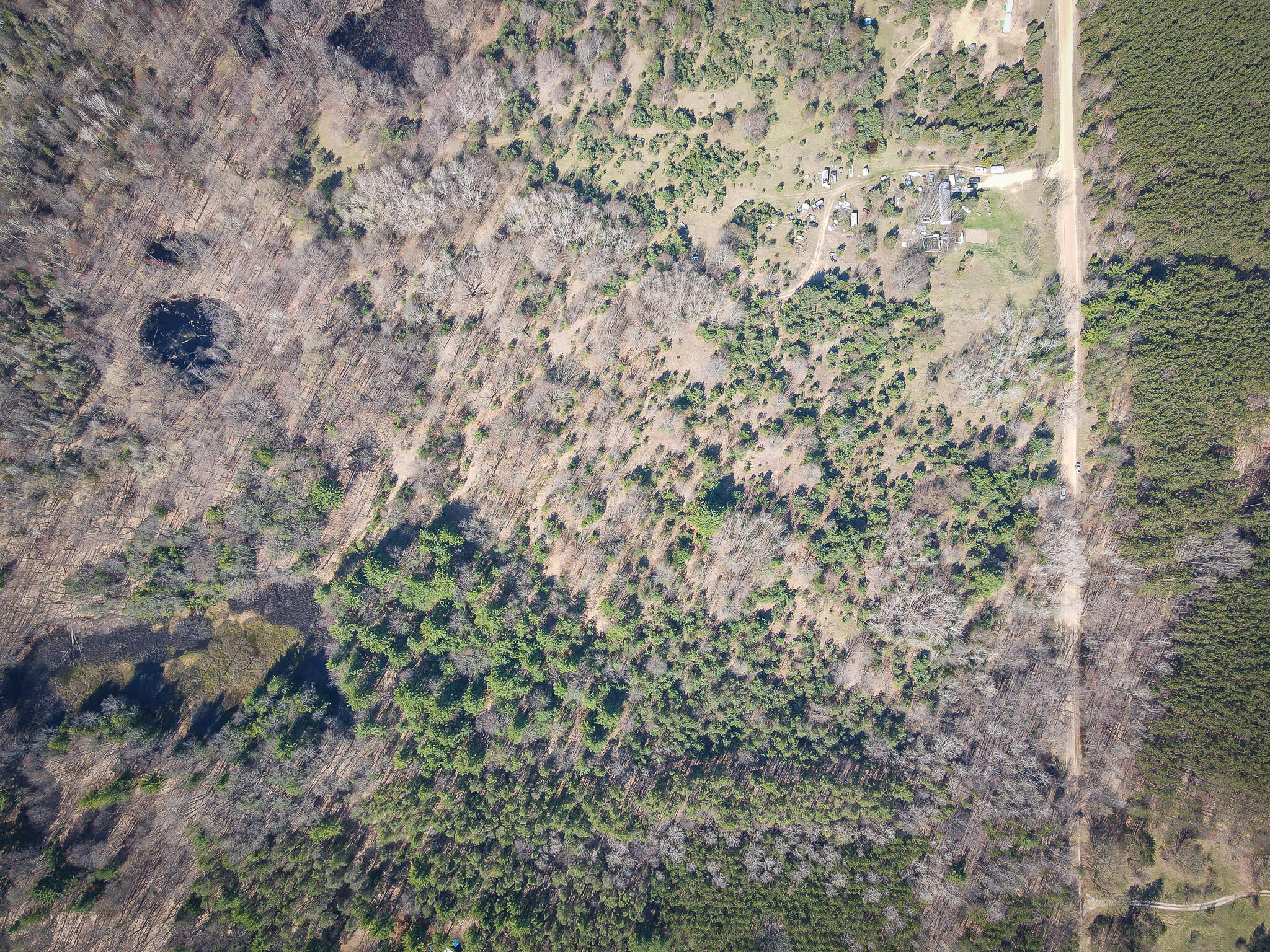 V/l East Baseline Road Shelby, MI 49455 - Photo 34 of 34 DJI_0986