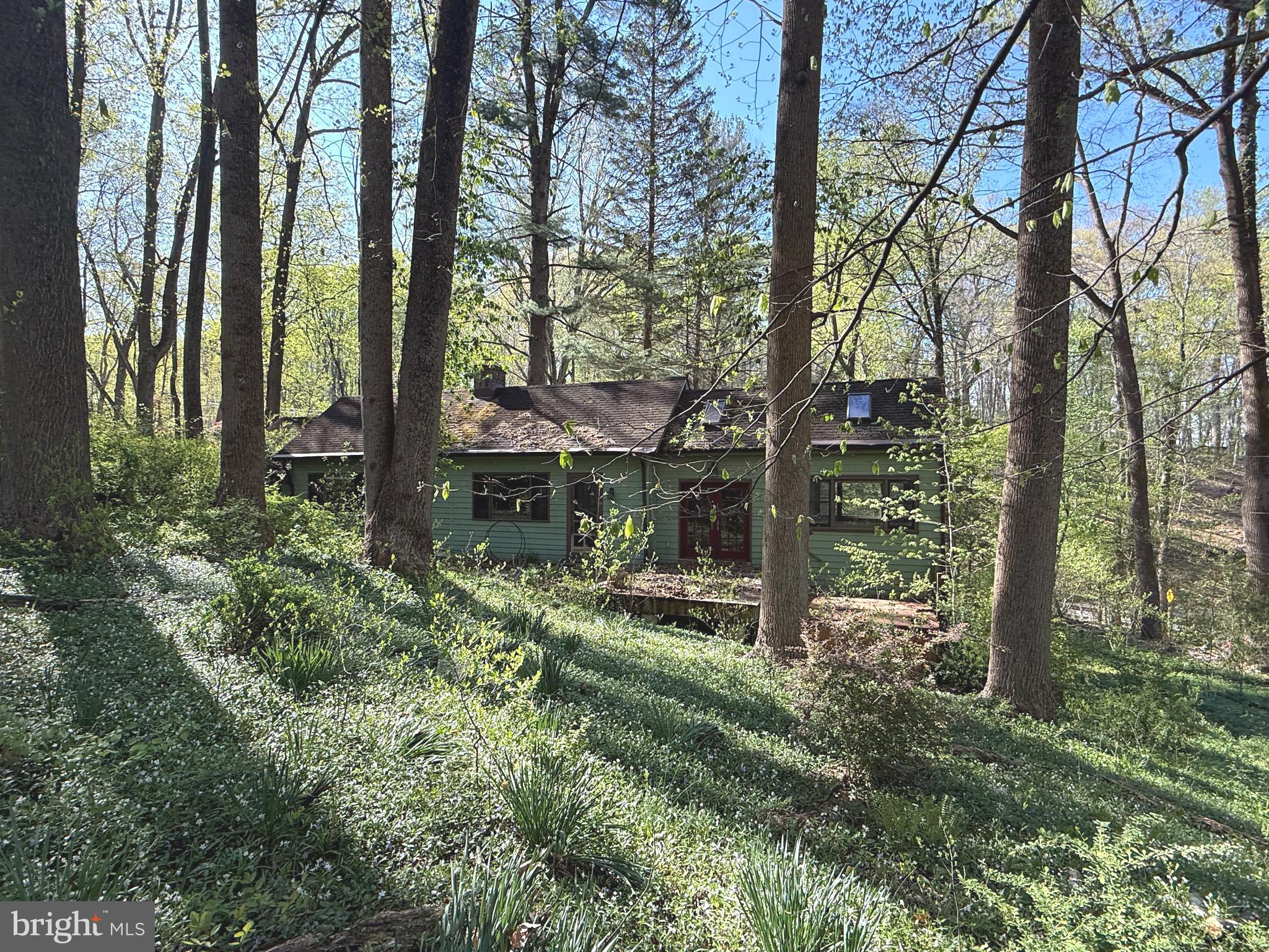 7126 Upper York Road New Hope, PA 18938 - Photo 25 of 27 View from back