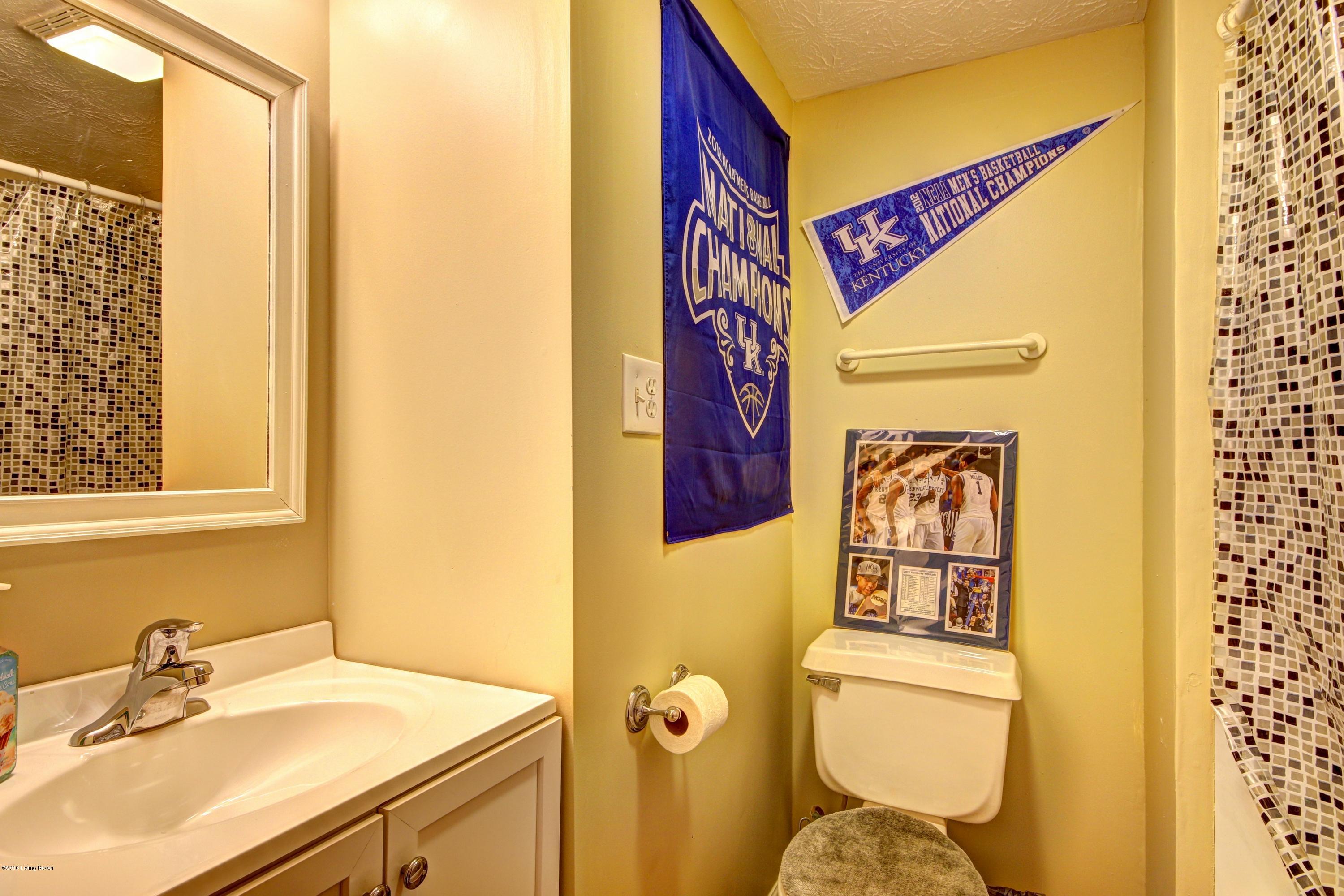 4309 Seagrape Road Jeffersontown, KY 40299 - Photo 25 of 32 Full bath in the lower level{