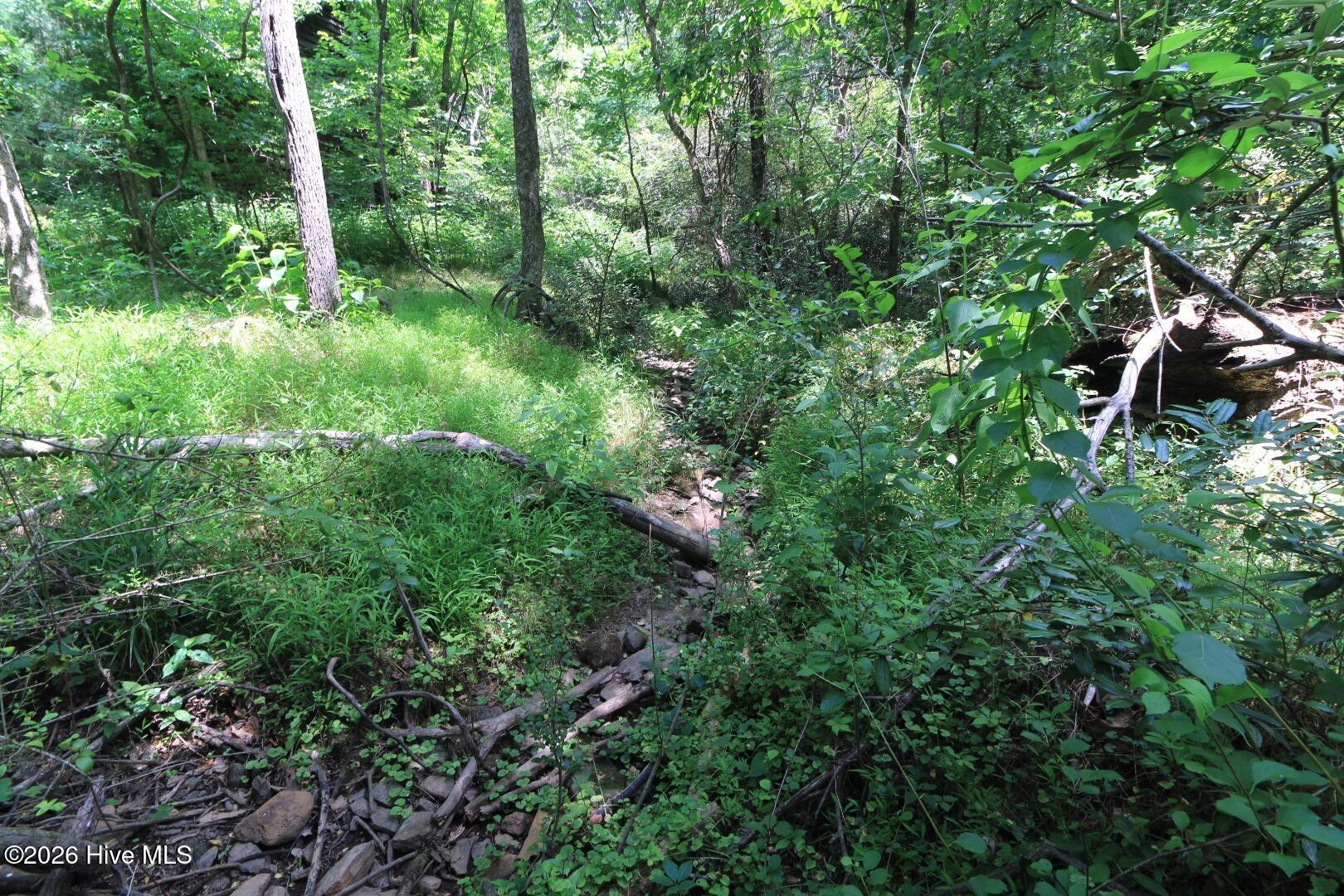 0 Laurel Rdg Road Durham, NC 27705 - Photo 28 of 36