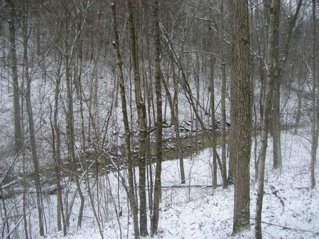 181 Driscoll Road Mount Eden, KY 40046 - Photo 5 of 23 Photo 5