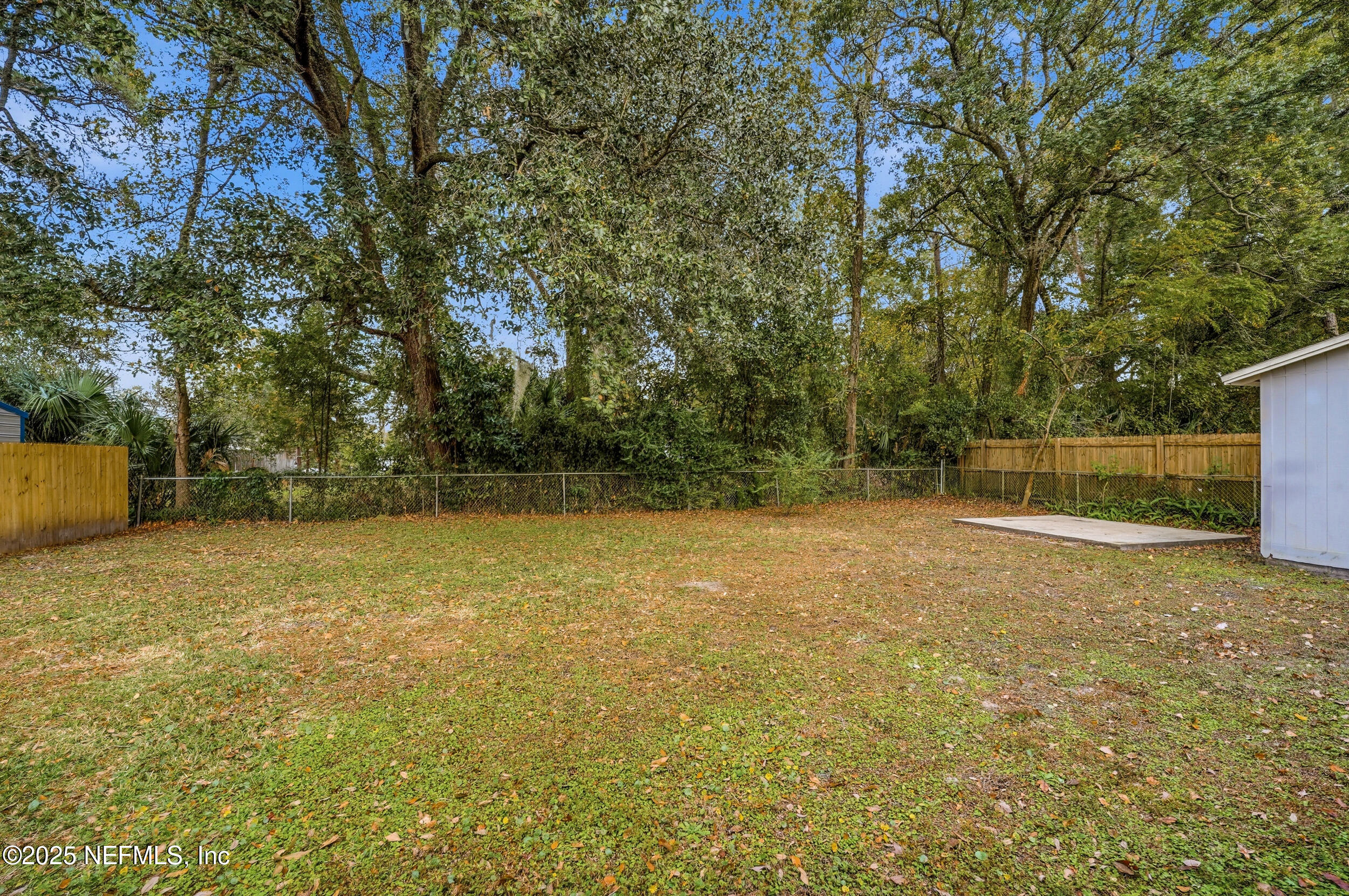 3135 Victoria Park Road Jacksonville, FL 32216 - Photo 16 of 21 a backyard of a house with trees