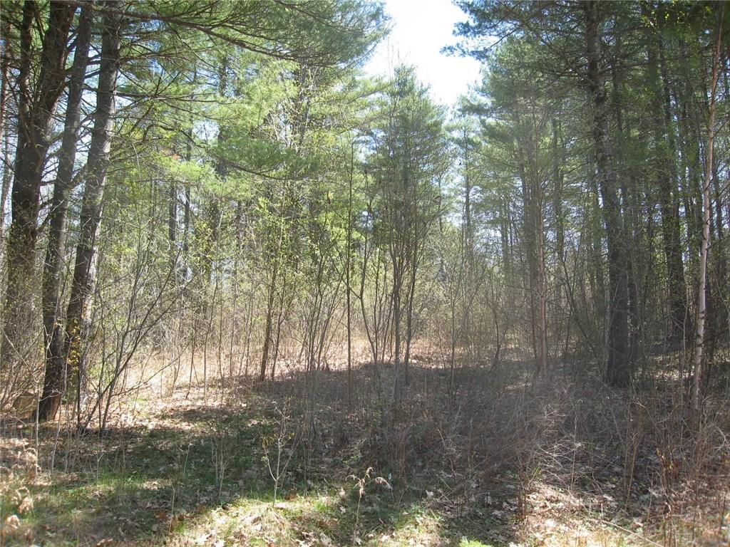 10 Trillium Way Liberty, ME 04949 - Photo 1 of 3 Photo