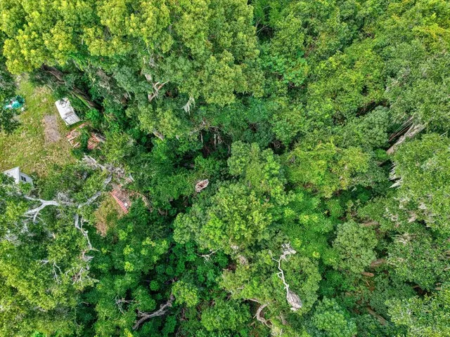 $15,000 | 19270 Northwest 53rd Terrace, Citra, FL 32113