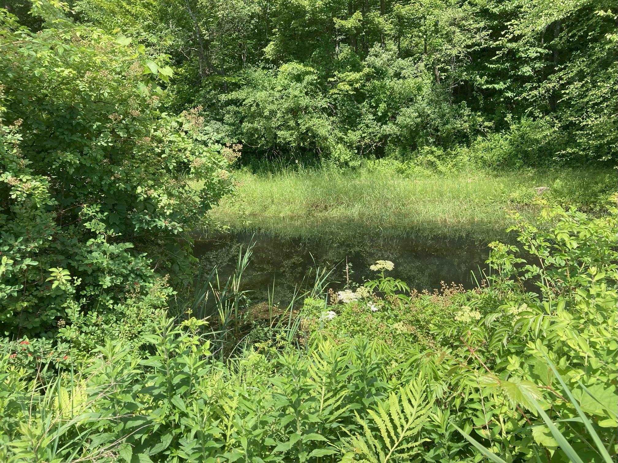 152 Parkview Road Springfield, VT 05156 - Photo 30 of 40