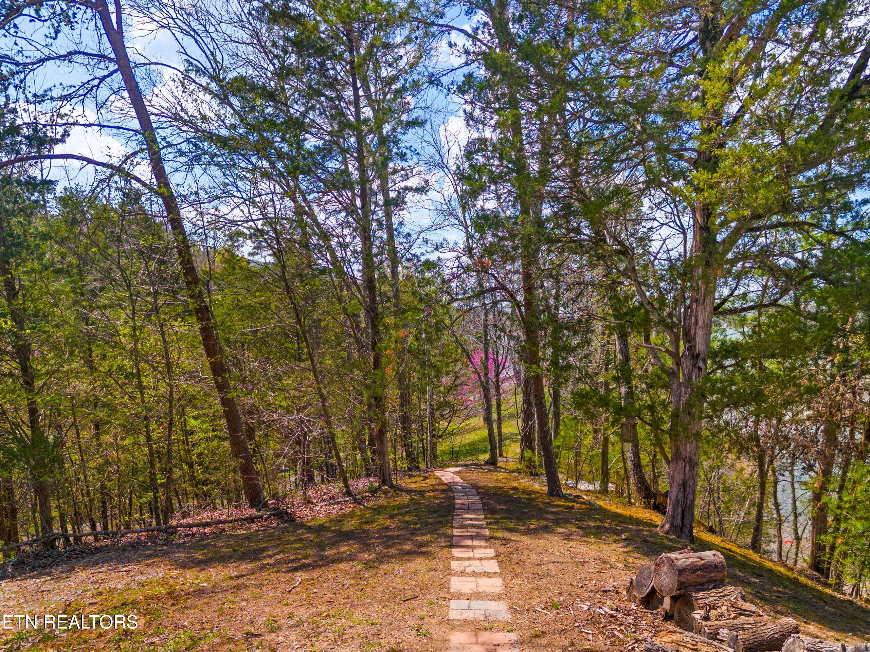 2017 Paradise Hills Road Dandridge, TN 37725 - Photo 50 of 57 053-2017ParadiseHillsRoad-Dandridge-TN-3