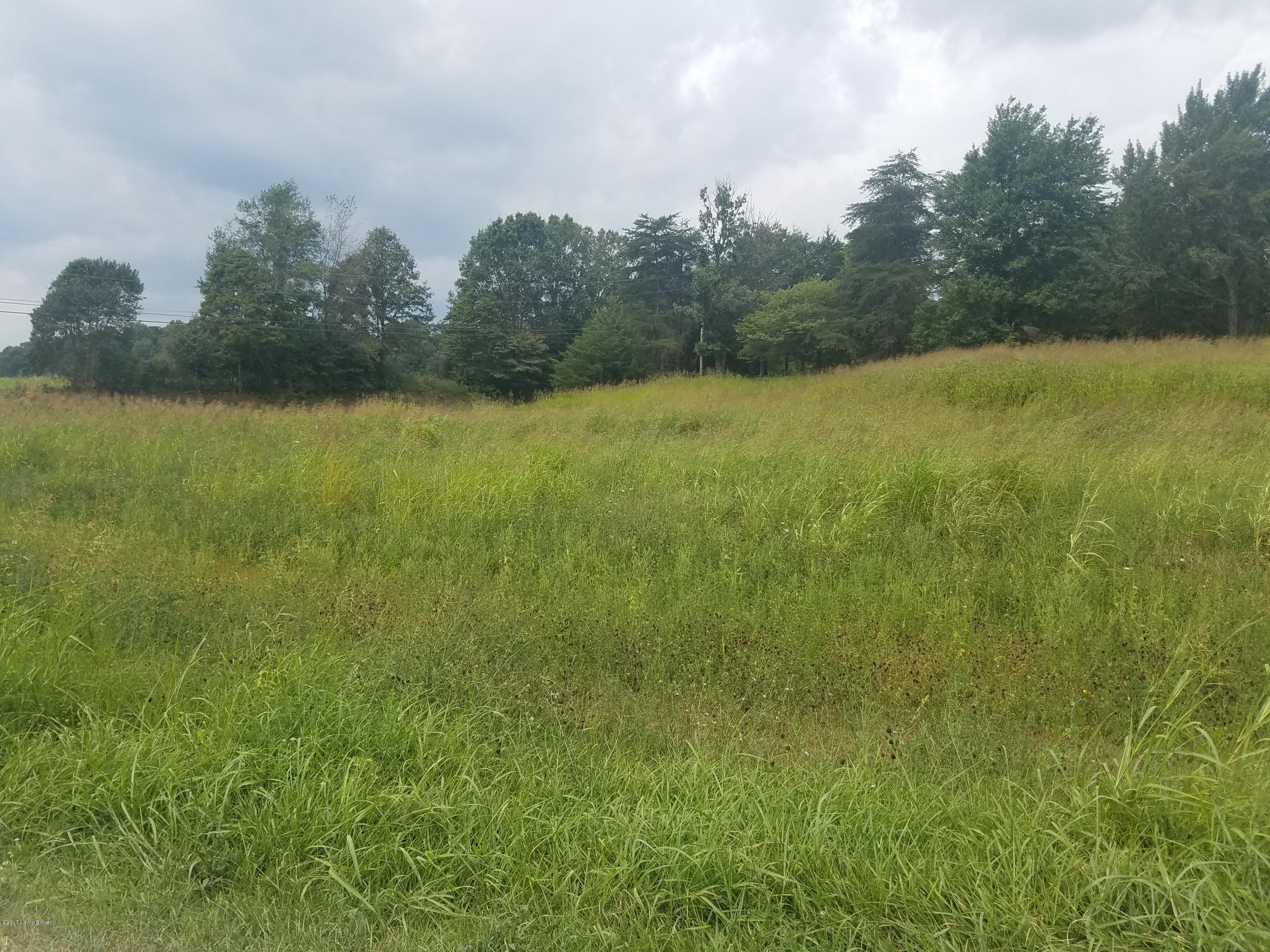 Lot # Oak Hill Road Brandenburg, KY 40108 - Photo 2 of 3 20170822_133311 - Copy
