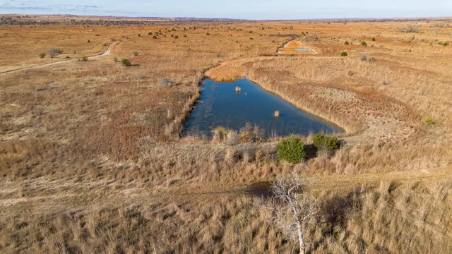 a view of a dry yard with wooden fence