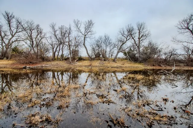 a view of outdoor space with trees