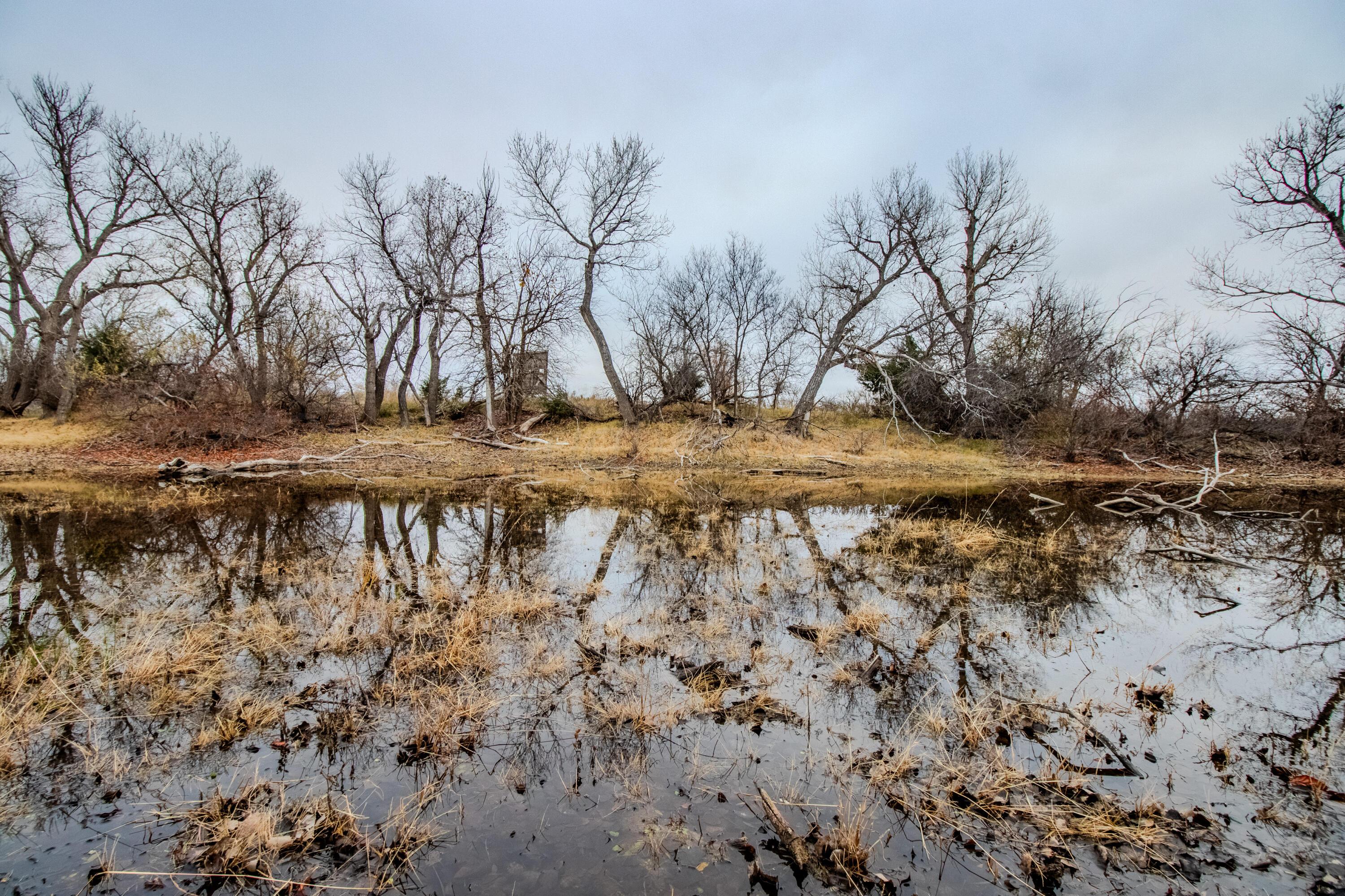 Triple S Canadian River Ranch Canadian, TX 79014 - Photo 14 of 88 089
