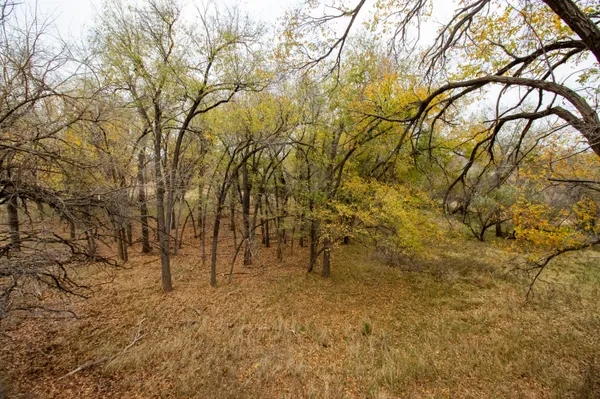 $1,500,000 | Triple S Canadian River Ranch, Canadian, TX 79014
