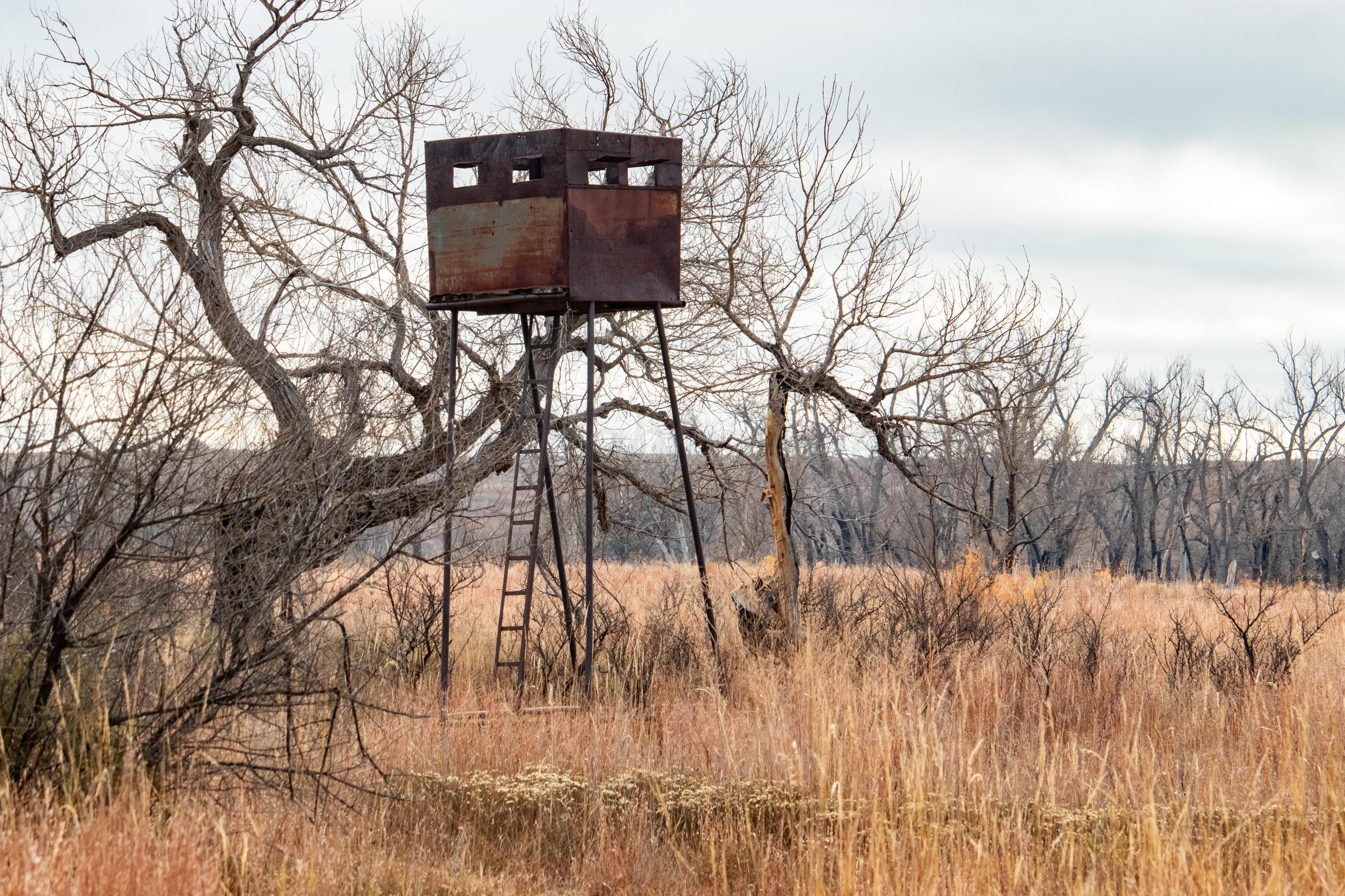 Triple S Canadian River Ranch Canadian, TX 79014 - Photo 18 of 88 010