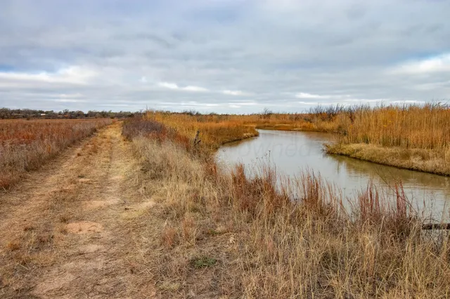 a view of a lake with houses in the back