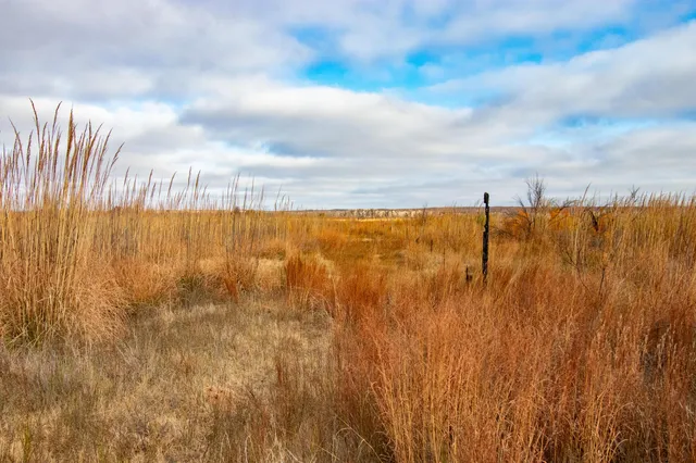 $1,500,000 | Triple S Canadian River Ranch, Canadian, TX 79014