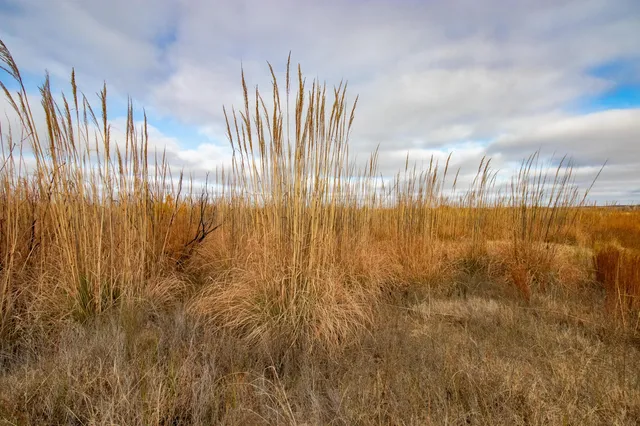 $1,500,000 | Triple S Canadian River Ranch, Canadian, TX 79014