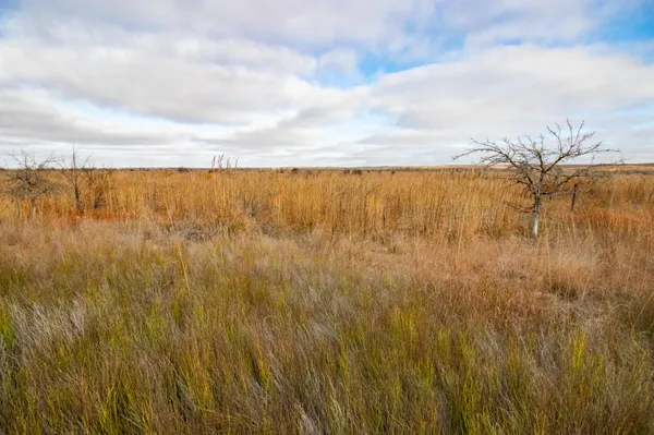 $1,500,000 | Triple S Canadian River Ranch, Canadian, TX 79014