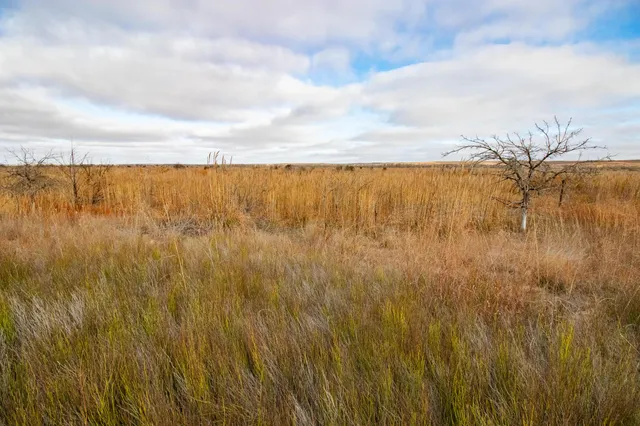 $1,500,000 | Triple S Canadian River Ranch, Canadian, TX 79014