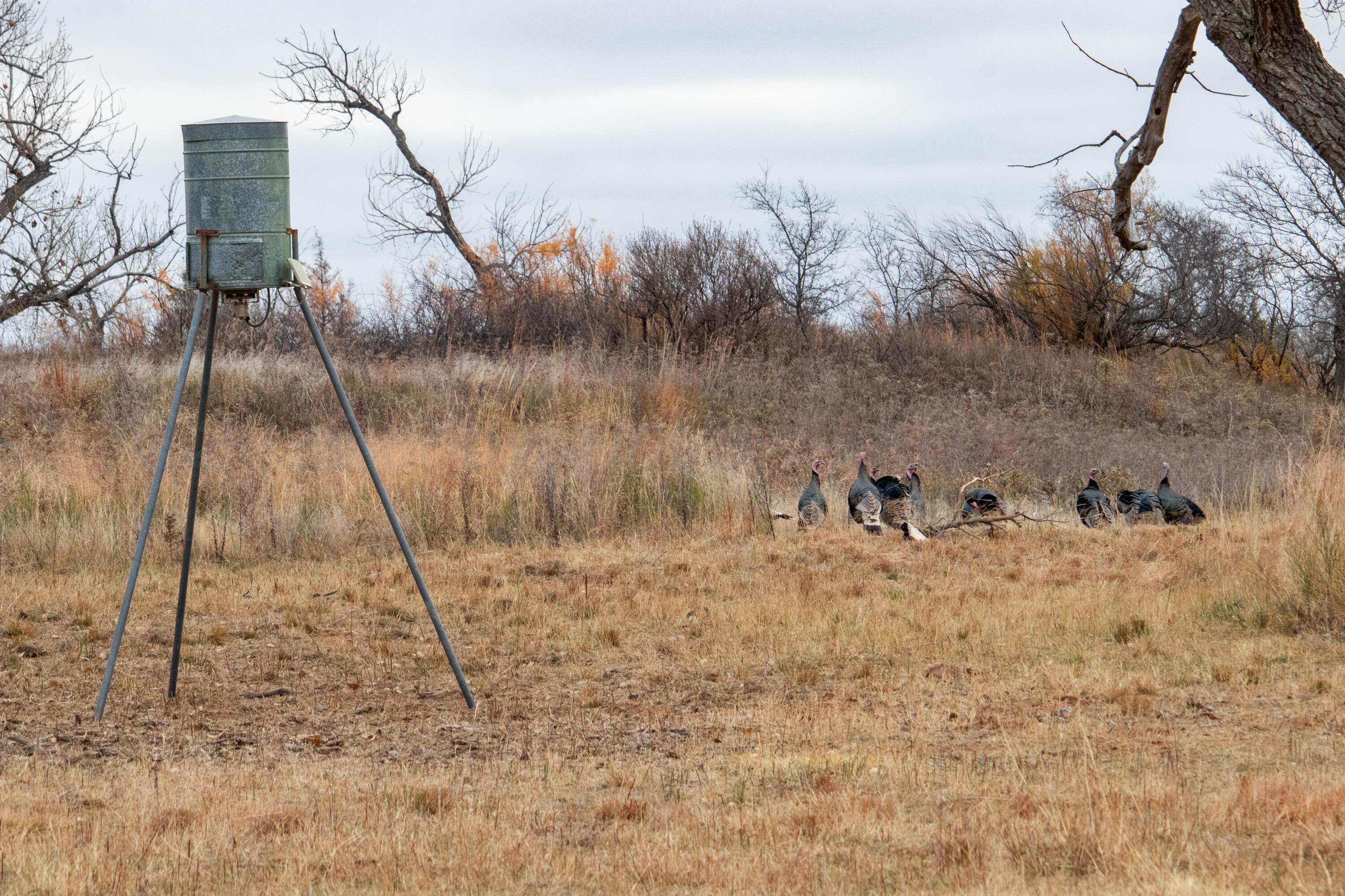 Triple S Canadian River Ranch Canadian, TX 79014 - Photo 26 of 88 017