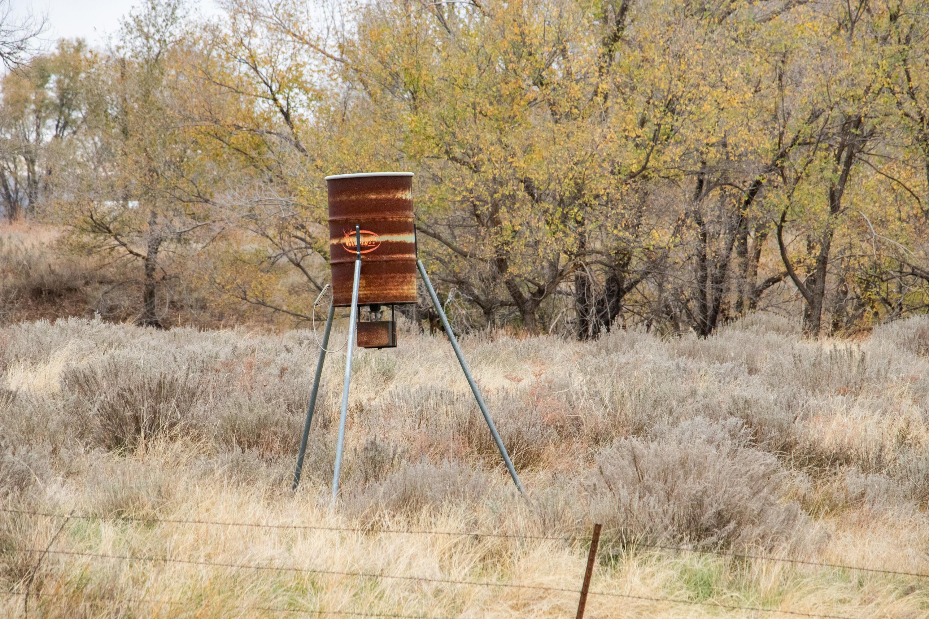 Triple S Canadian River Ranch Canadian, TX 79014 - Photo 27 of 88 a backyard of a house