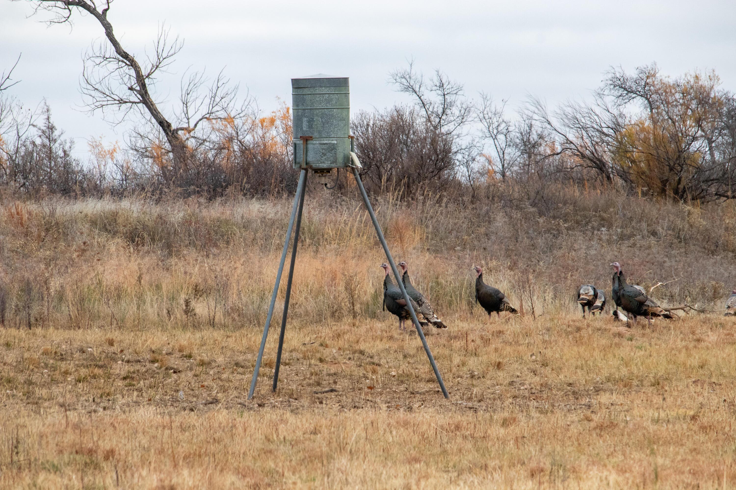 Triple S Canadian River Ranch Canadian, TX 79014 - Photo 29 of 88 a backyard of a house with lots of green space