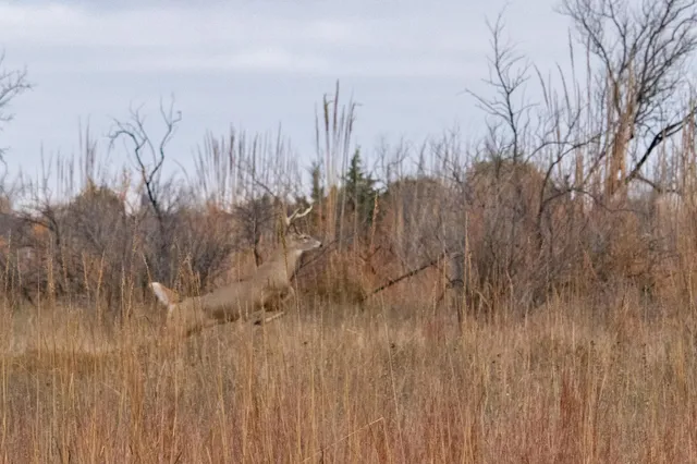 $1,500,000 | Triple S Canadian River Ranch, Canadian, TX 79014