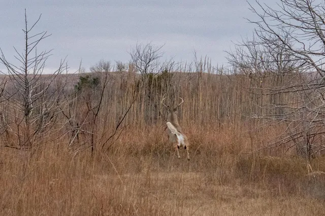 $1,500,000 | Triple S Canadian River Ranch, Canadian, TX 79014