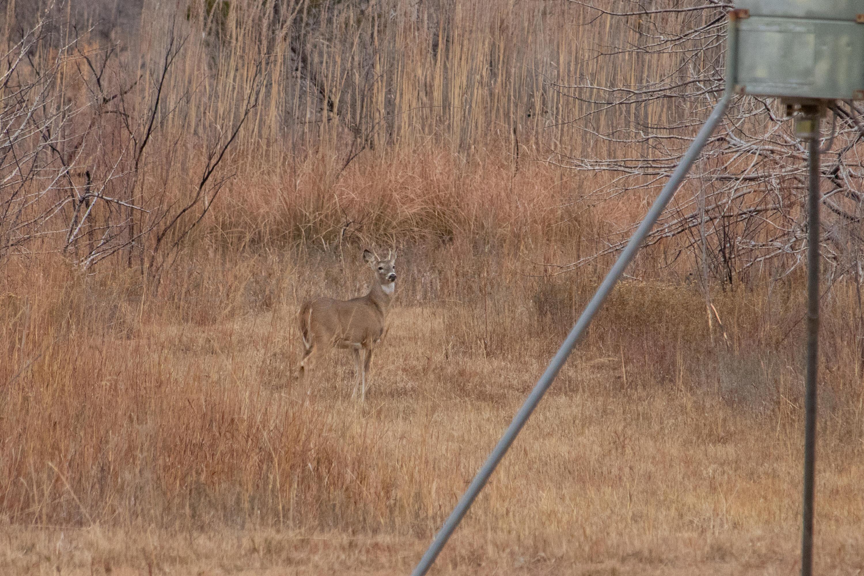 Triple S Canadian River Ranch Canadian, TX 79014 - Photo 35 of 88 026