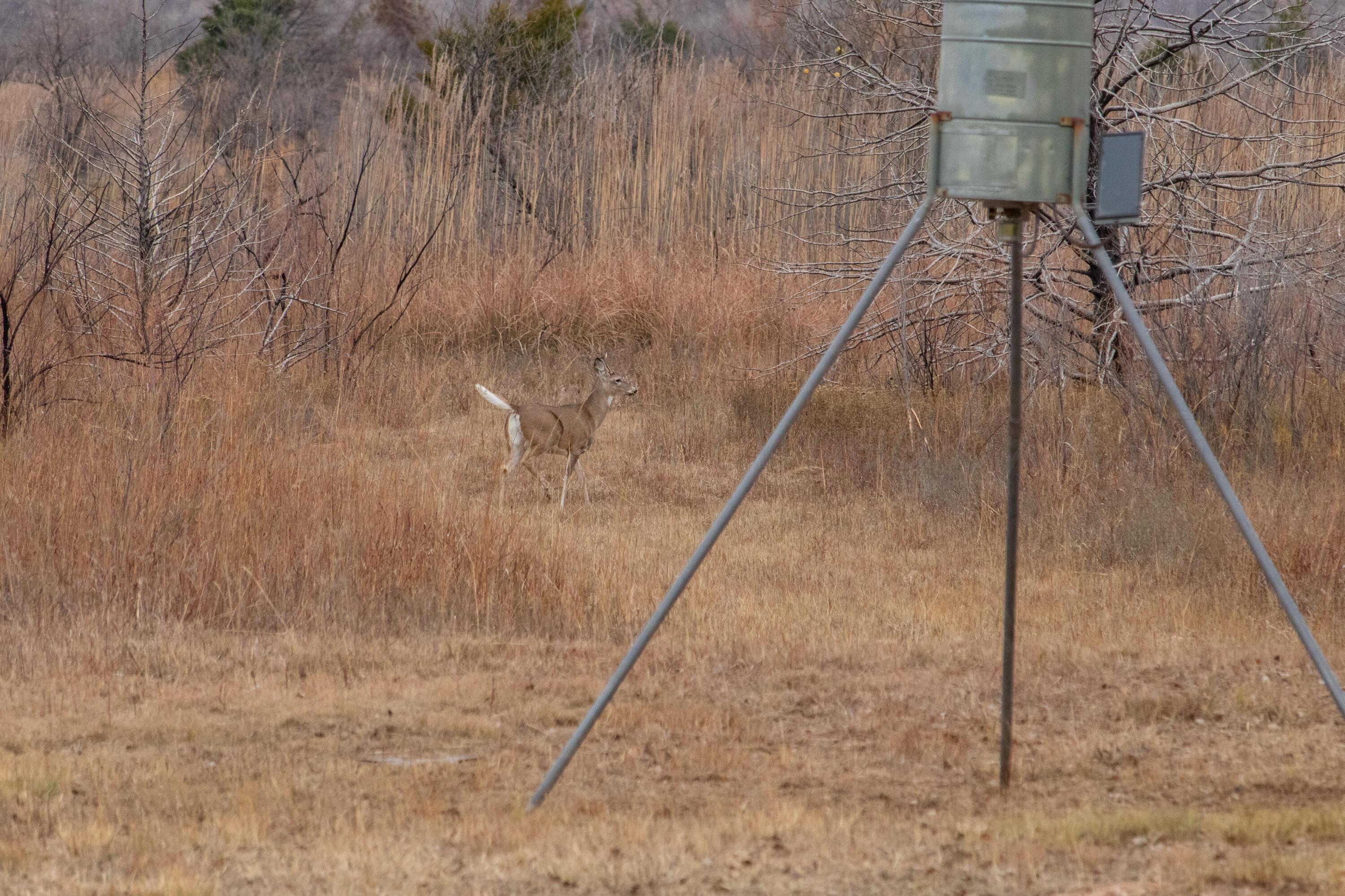 Triple S Canadian River Ranch Canadian, TX 79014 - Photo 36 of 88 027