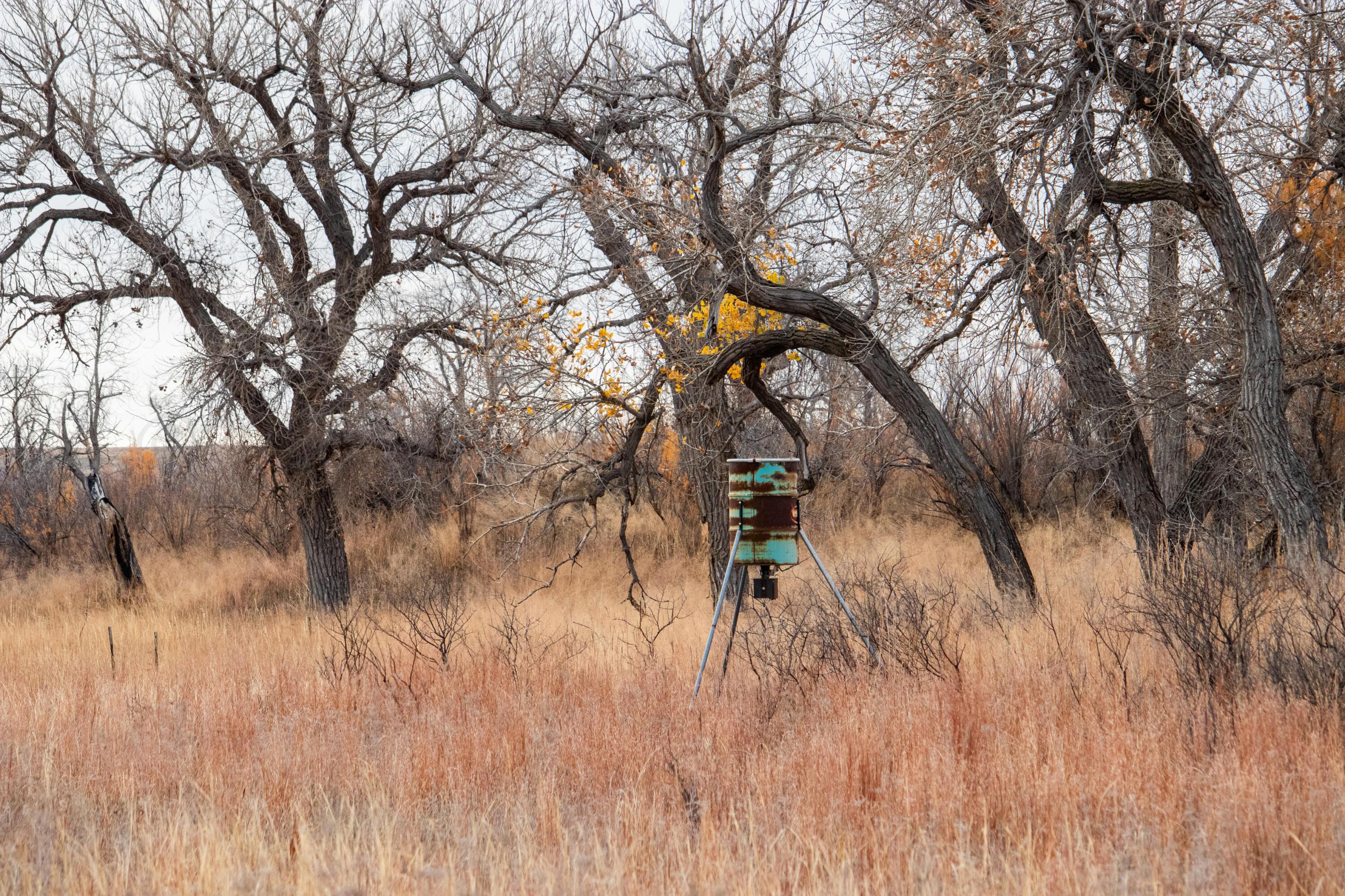 Triple S Canadian River Ranch Canadian, TX 79014 - Photo 39 of 88 a backyard of a house with table and chairs
