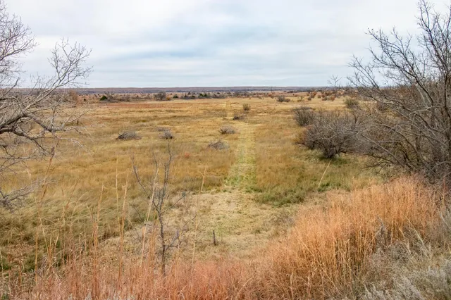 $1,500,000 | Triple S Canadian River Ranch, Canadian, TX 79014