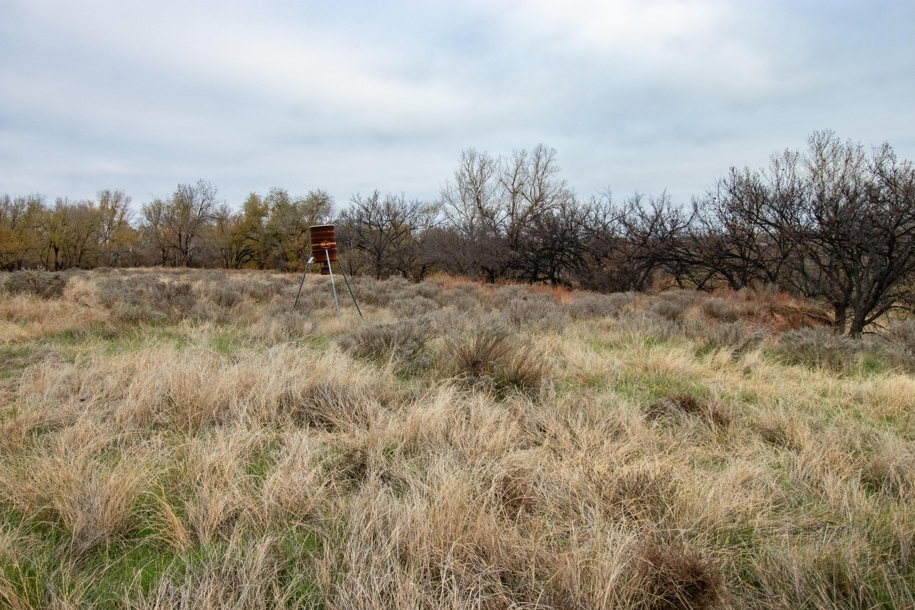 Triple S Canadian River Ranch Canadian, TX 79014 - Photo 55 of 88 047