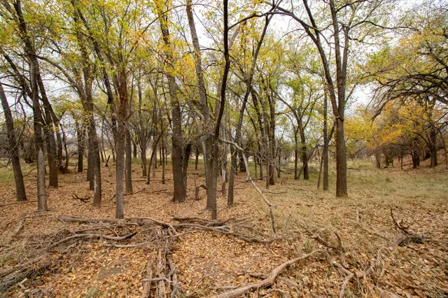 $1,500,000 | Triple S Canadian River Ranch, Canadian, TX 79014