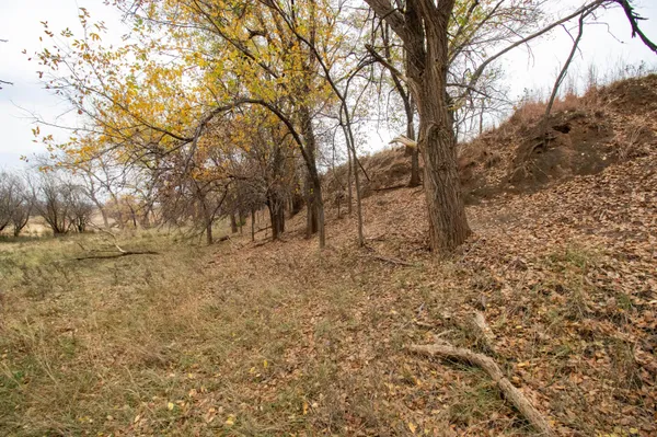 $1,500,000 | Triple S Canadian River Ranch, Canadian, TX 79014